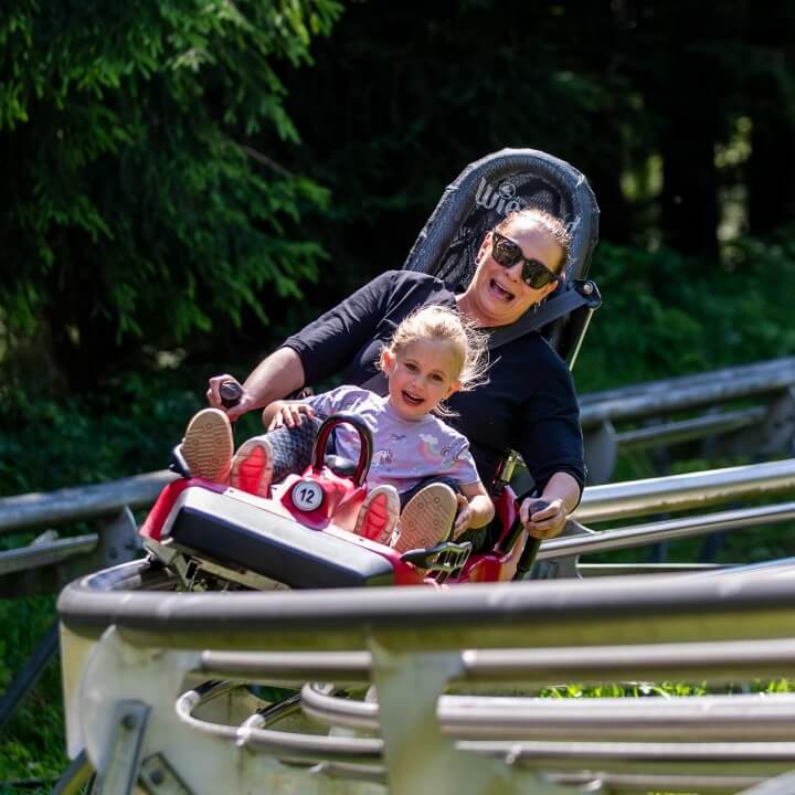 Bobová dráha